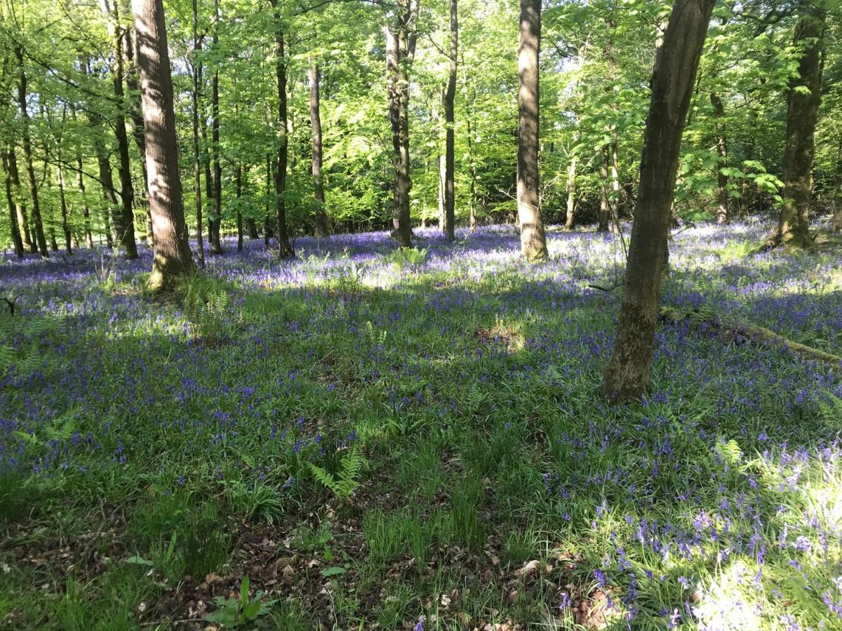 Ingledale Apartment, Ingleton, Yorkshire Dales National Park, Famous Three Peaks, Near The Lake District, Pets Are Welcome 英格尔顿 外观 照片
