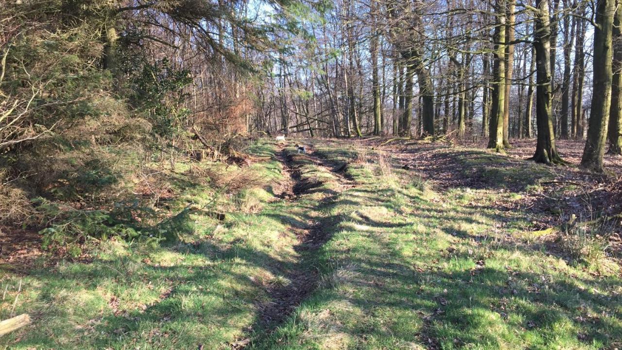 Ingledale Apartment, Ingleton, Yorkshire Dales National Park, Famous Three Peaks, Near The Lake District, Pets Are Welcome 英格尔顿 外观 照片